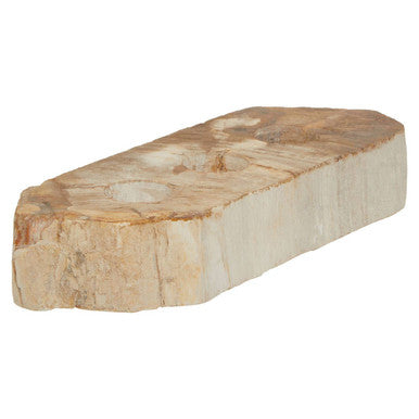 Orsina Relic Petrified Wood 3 Tealight Holder – Natural Table Centerpiece