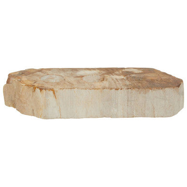 Orsina Relic Petrified Wood 3 Tealight Holder – Natural Table Centerpiece