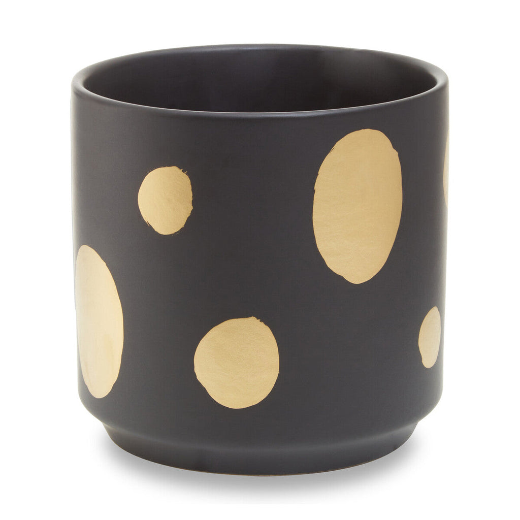 Orsina Yuri Ceramic Planter – Black and Gold Indoor Modern Plant Pot