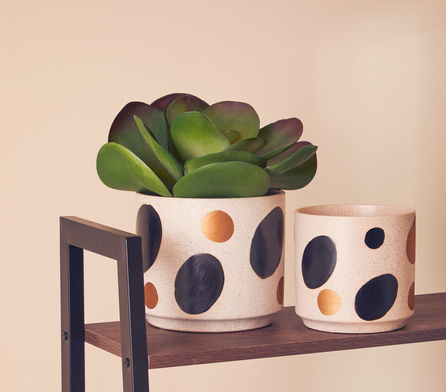 Orsina Yuri Small Ceramic Planter – Matte White with Gold Accents