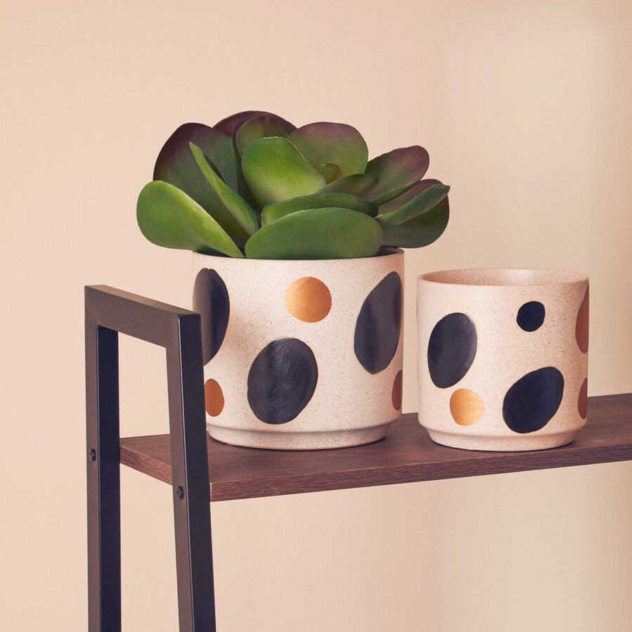 Orsina Yuri White and Gold Spotted Ceramic Planter – Modern Indoor Pot