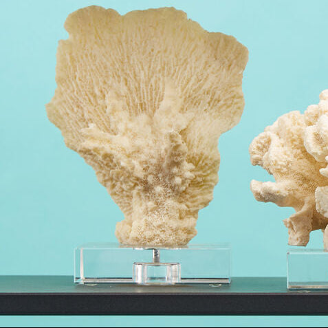 Orsina Small White Coral Decor – Coastal Sculpture on Acrylic Base