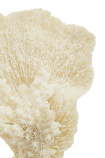 Orsina Small White Coral Decor – Coastal Sculpture on Acrylic Base