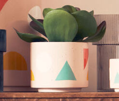 Orsina Jada Large Abstract Planter – Modern Sculptural Indoor Pot