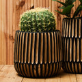 Orsina Arlo Large Engraved Wooden Planter – Natural and Black