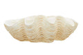 Orsina Byron Large Clam Shell Bowl – Coastal Sculptural Decorative Centerpiece