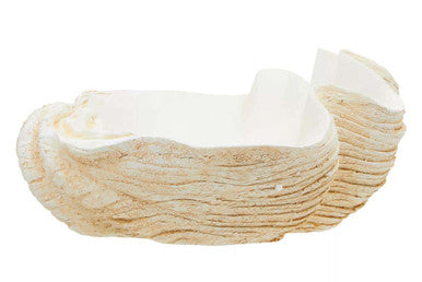Orsina Byron Large Clam Shell Bowl – Coastal Sculptural Decorative Centerpiece