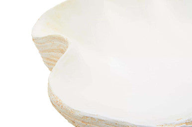Orsina Byron Large Clam Shell Bowl – Coastal Sculptural Decorative Centerpiece