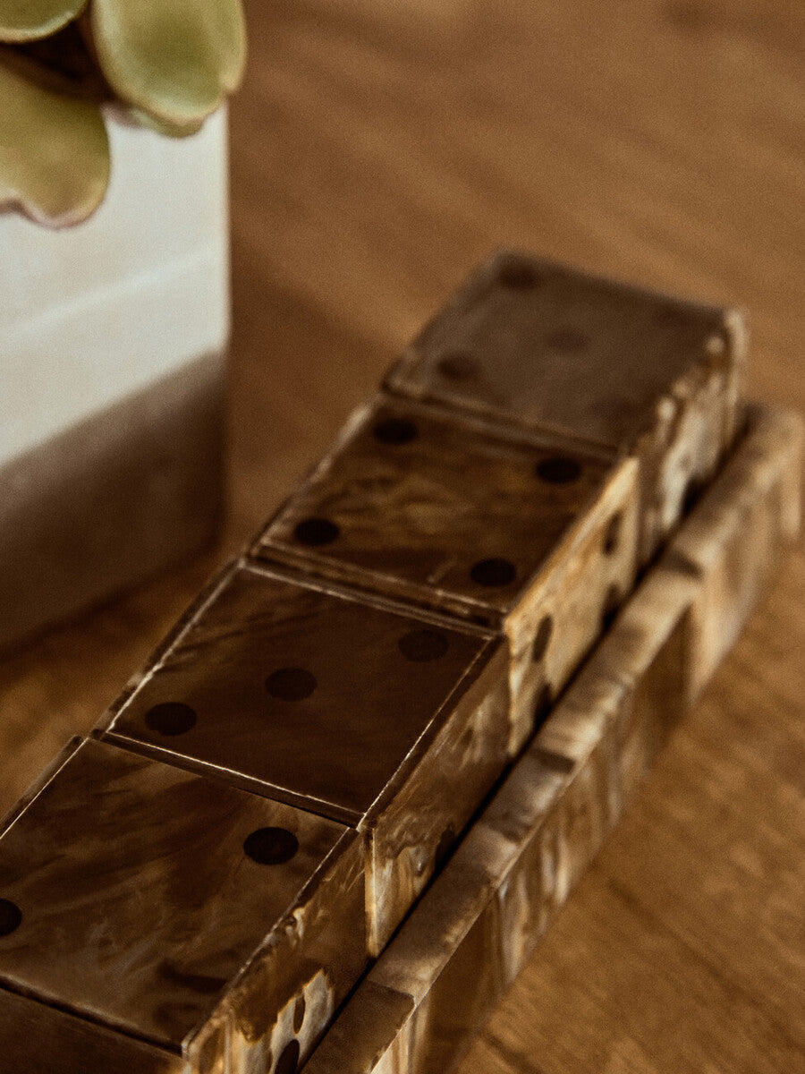 Orsina Brown and Black Resin Five Dice Set with Rectangular Tray