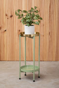 Orsina Sabia Two-Tiered Plant Stand – Green and Gold Iron Metal