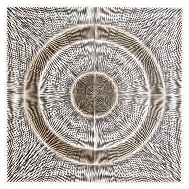 Orsina Modello Silver Wood Carving Wall Art – Antique Silver Decor