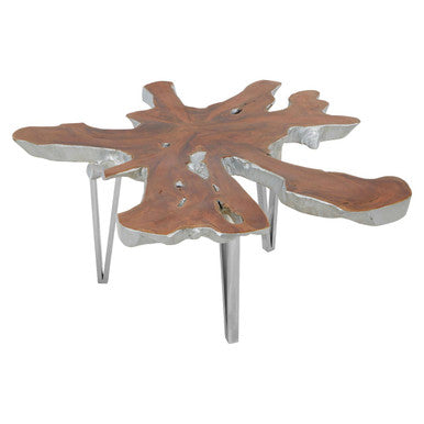 Orsina Surak Star Top Teak Coffee Table | Silver Stainless Steel