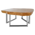 Orsina Surak Live-Edge Teak Wood Coffee Table with Silver Steel Legs
