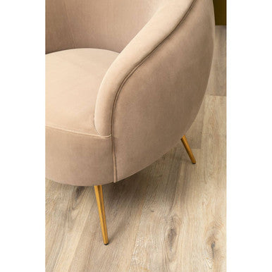 Orsina Manhattan Mink Velvet Curved Accent Chair with Gold Legs