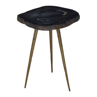 Orsina Relic Petrified Wood Side Table with Brass Finish Legs