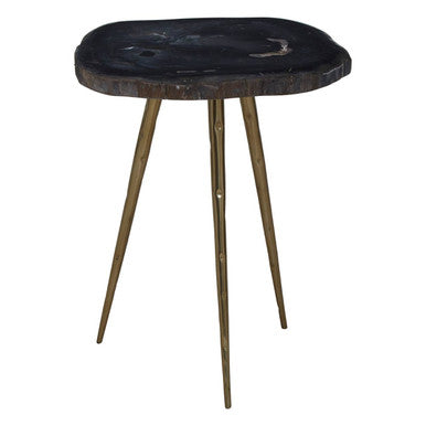 Orsina Relic Petrified Wood Side Table with Brass Finish Legs