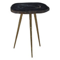 Orsina Relic Petrified Wood Side Table with Brass Finish Legs