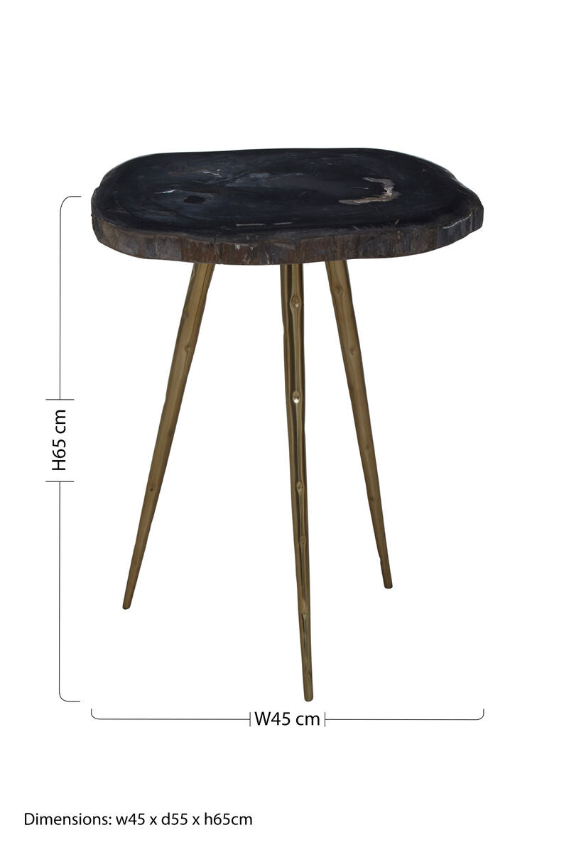 Orsina Relic Petrified Wood Side Table with Brass Finish Legs