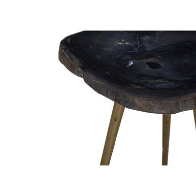 Orsina Relic Petrified Wood Side Table with Brass Finish Legs