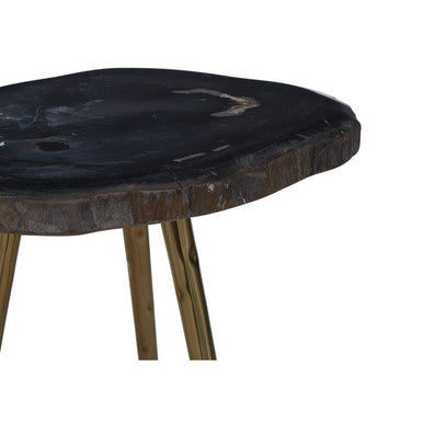 Orsina Relic Petrified Wood Side Table with Brass Finish Legs