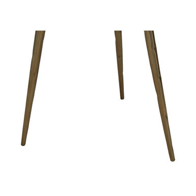 Orsina Relic Petrified Wood Side Table with Brass Finish Legs