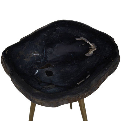 Orsina Relic Petrified Wood Side Table with Brass Finish Legs