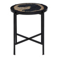 Orsina Relic Petrified Wood and Resin Side Table – Black Iron Base