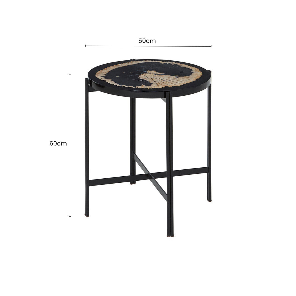Orsina Relic Petrified Wood and Resin Side Table – Black Iron Base