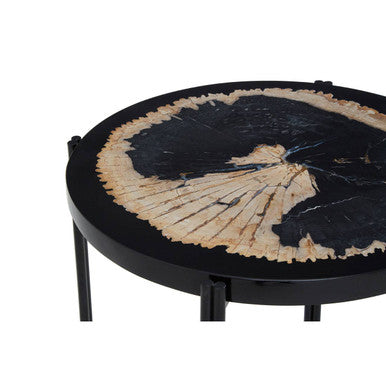 Orsina Relic Petrified Wood and Resin Side Table – Black Iron Base