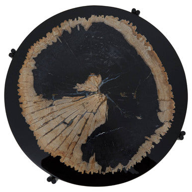 Orsina Relic Petrified Wood and Resin Side Table – Black Iron Base