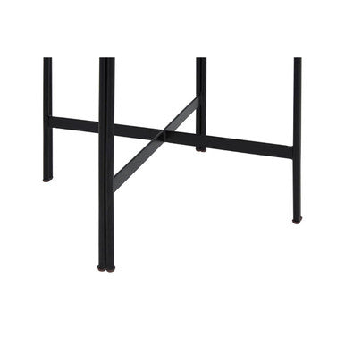 Orsina Relic Petrified Wood and Resin Side Table – Black Iron Base