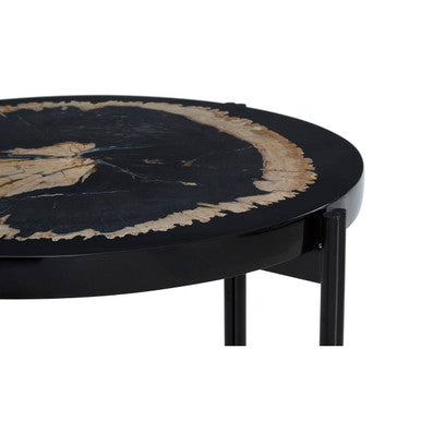 Orsina Relic Petrified Wood and Resin Side Table – Black Iron Base