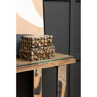 Orsina Kerala Console Table | Sal Wood and Glass with Silver Legs