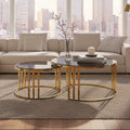 Orsina Alana Nesting Coffee Tables | Round Tinted Glass & Brushed Gold