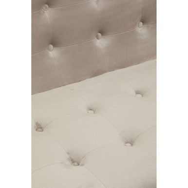Orsina Azalea Mink Velvet 2 Seater Sofa | Tufted Gold Frame Loveseat