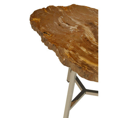 Orsina Relic Small Petrified Wood Side Table | Silver Metal Frame