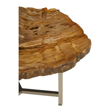 Orsina Relic Small Petrified Wood Side Table | Silver Metal Frame