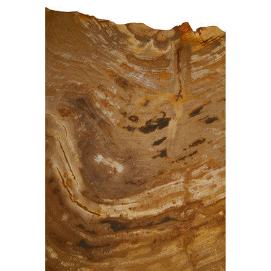 Orsina Relic Small Petrified Wood Side Table | Silver Metal Frame