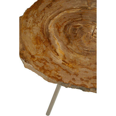 Orsina Relic Petrified Wood Side Table – Silver Metal Tripod Base