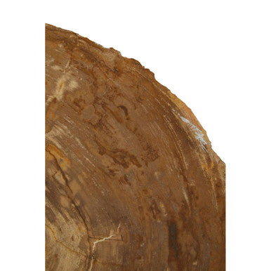 Orsina Relic Petrified Wood Side Table – Silver Metal Tripod Base