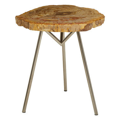 Orsina Large Petrified Wood Side Table – Rustic Stone Top & Silver Frame