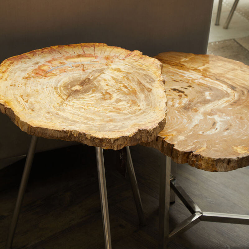 Orsina Large Petrified Wood Side Table – Rustic Stone Top & Silver Frame