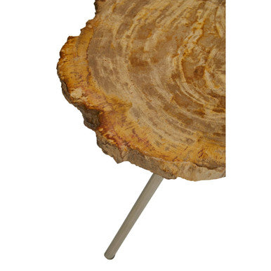 Orsina Large Petrified Wood Side Table – Rustic Stone Top & Silver Frame