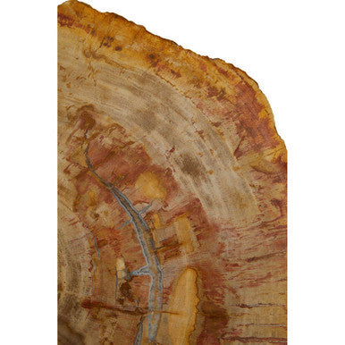 Orsina Large Petrified Wood Side Table – Rustic Stone Top & Silver Frame
