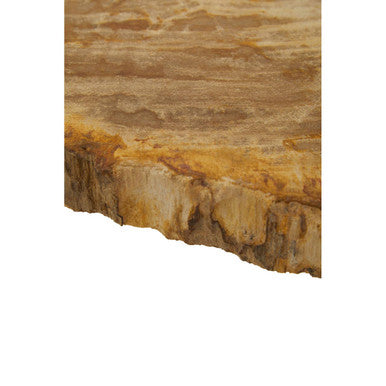Orsina Large Petrified Wood Side Table – Rustic Stone Top & Silver Frame