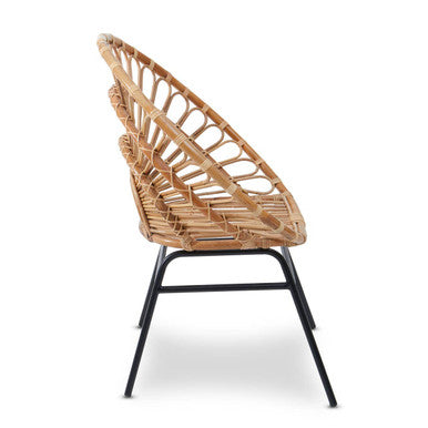Orsina Java Natural Rattan Flared Back Accent Chair | Black Metal Frame