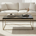 Orsina Aris Black and Gold Striped Acacia Wood Coffee Table