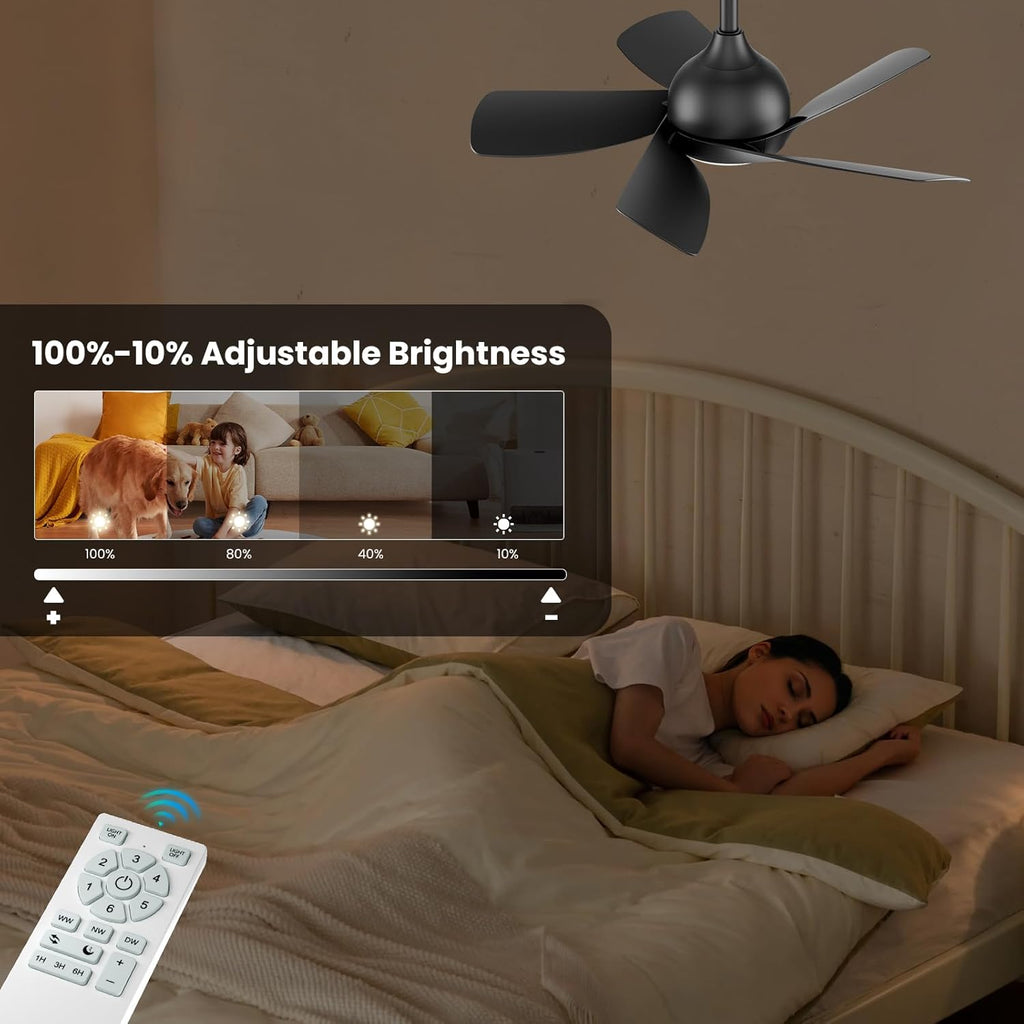 CJOY 30" Ceiling Fan with Light | Quiet DC Motor 5-Blade Modern Fan