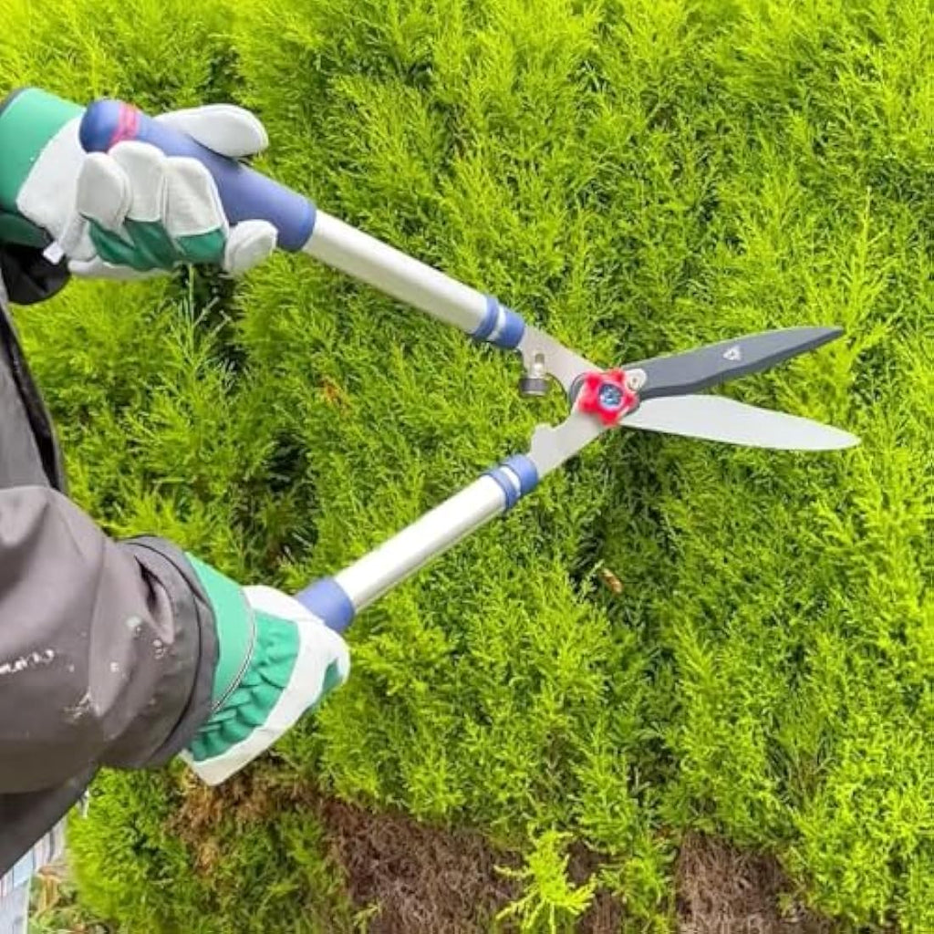 Spear & Jackson Telescopic Hedge Shears – Carbon Steel Blades, Blue