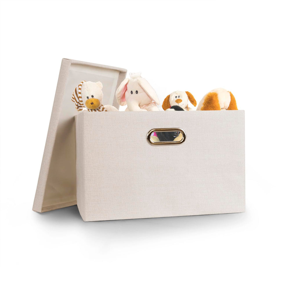 Wintao Collapsible Fabric Storage Boxes with Lids - Beige, 3 Pack